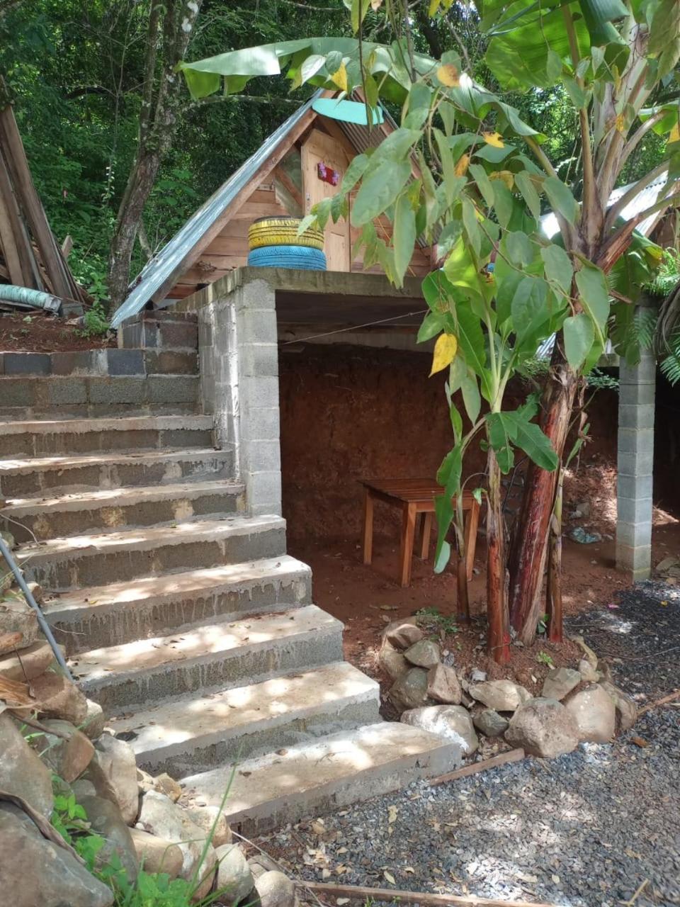 Urbanos Jungle Hostel Санта Каталина Екстериор снимка
